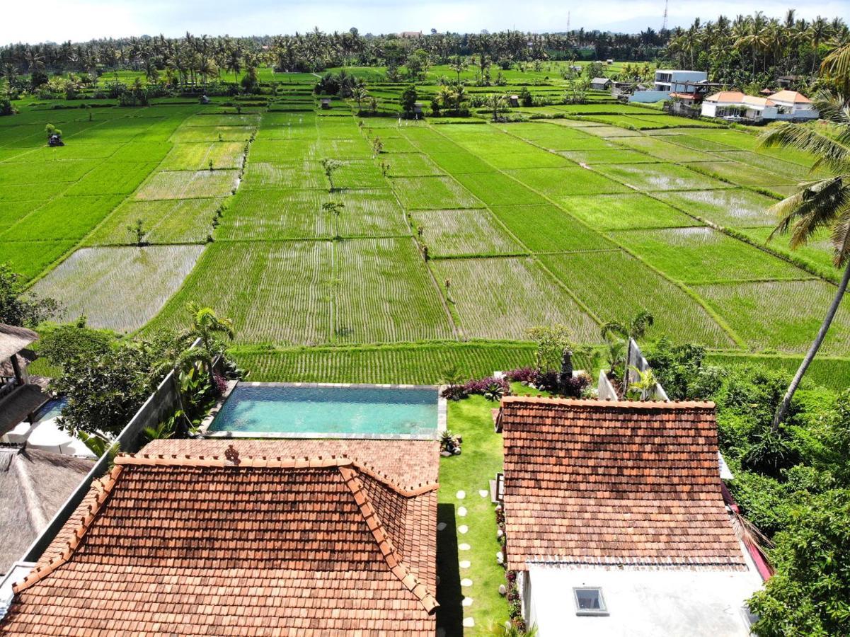 Villa O'Hea Ubud Exteriér fotografie